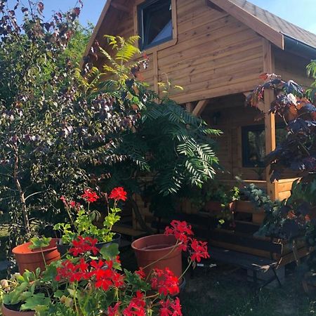 Domek Pod Sumakiem Pszczółki Extérieur photo