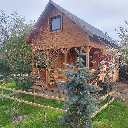 Domek Pod Sumakiem Pszczółki Extérieur photo